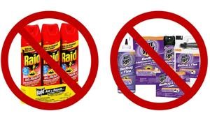 Keto Recipes for beginners.com